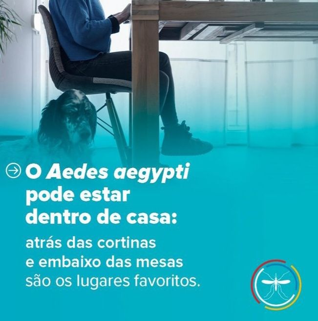 Brasil ultrapassa marca de 5 mil mortes por dengue — imagem 5